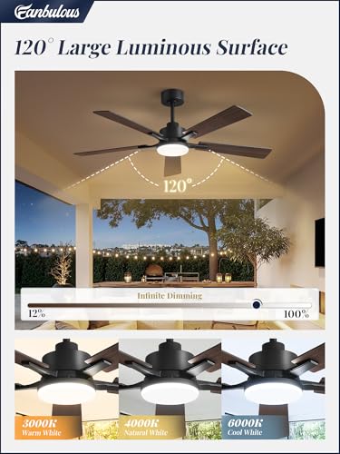 Black 52 Inch Ceiling Fan with Lights & Remote Control - DC Motor & APP