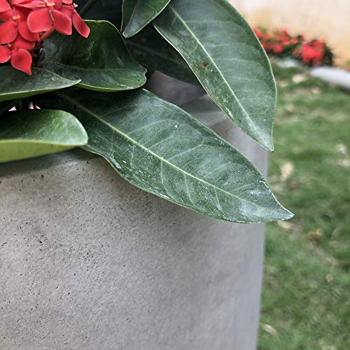 Weathered Concrete 18-Inch Large Round Plant Pot for Indoor & Outdoor Use