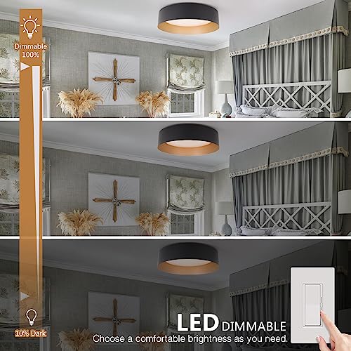 Bargeni 12.5 Inch Matte Black Flush Mount Ceiling Light 2-Pack with Gold Interior - Modern Minimalist Design