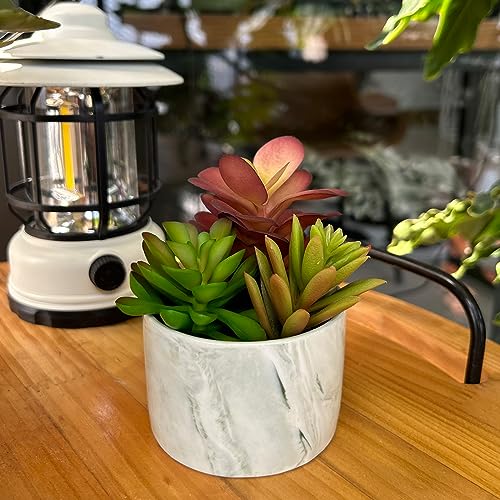 Artificial Plants Cute Colourful Succulents in Ceramic Planter Fake Plant Flowers Potted for Home Living Room Office Desk Decor Bathroom Bedroom Indoor Decoration