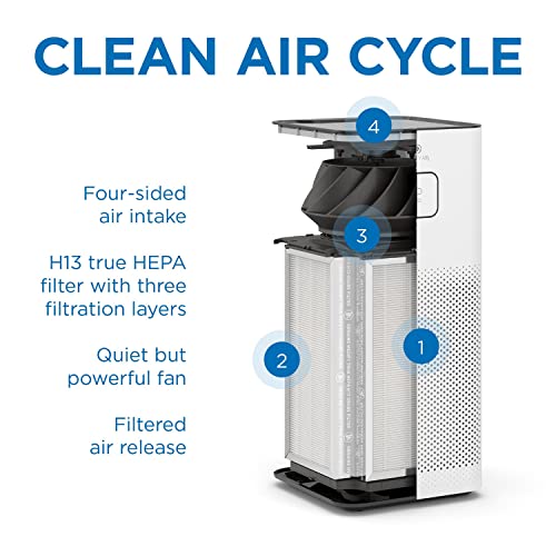 Medify MA-50 Replacement Air Filter 3-in-1 HEPA Carbon for Allergens Smoke Odors - 1 Pack (Variation 1)