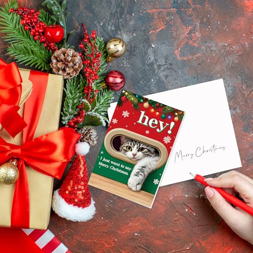 FSSDAS 10045 Funny Cat Christmas Card for Man Woman - Holiday Greeting Card