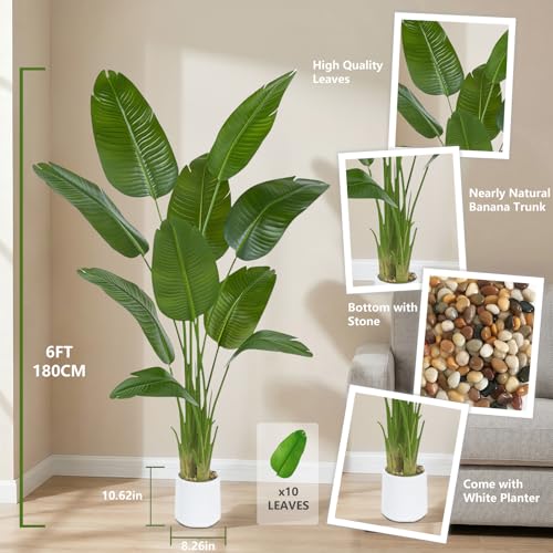 6Ft Artificial Bird of Paradise Tree with White Planter - Faux Tropical Indoor Plant
