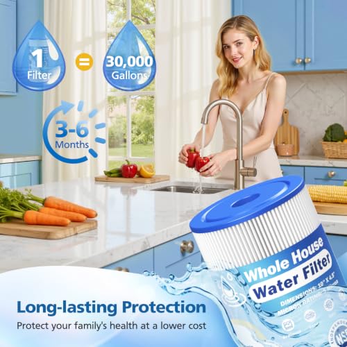 Caehomly 4-Pack 5 Micron 10x4.5 Inch Whole House Water Filter for GE FXHSC