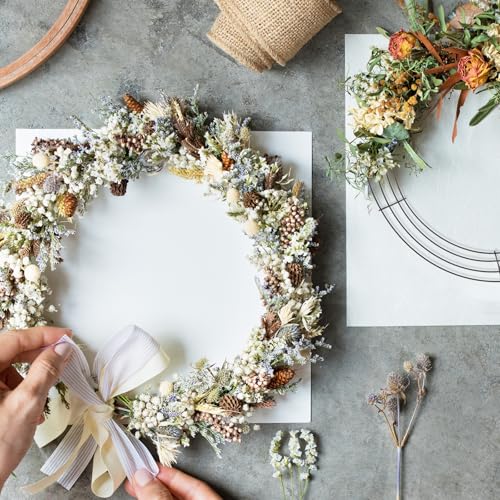 2 Pieces 12 Inch Wire Wreath Frame, Metal Round Wreath Form Black Wire Rings for Crafts Christmas Wreaths Tree Garland Floral Flower Arrangements New Year DIY Crafts Supplies and Holidays Decor