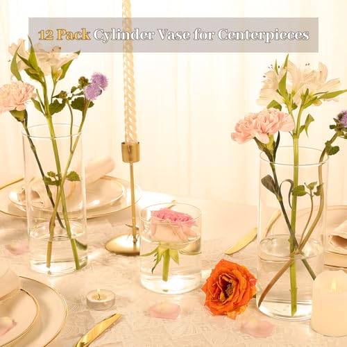 12 Pack 8 Inch Clear Glass Cylinder Vases for Centerpieces - Elegant & Multi-Functional