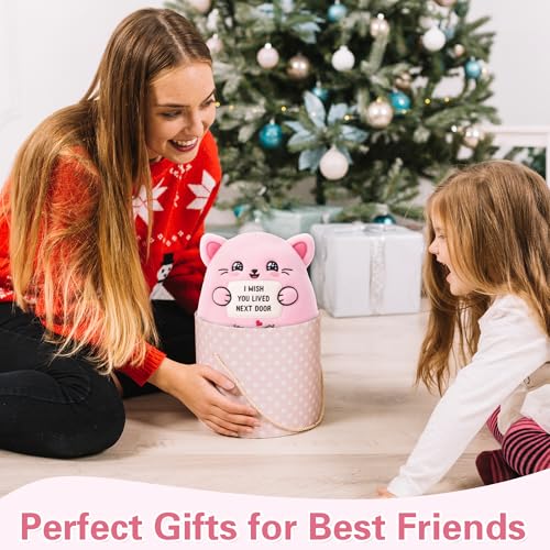 Friendship Plush Cat Stuffed Animal for Women Bestie Birthday Gift for Sister Girlfriend I Wish You Lived Next Door Plush Toy Pillow 9 Inch