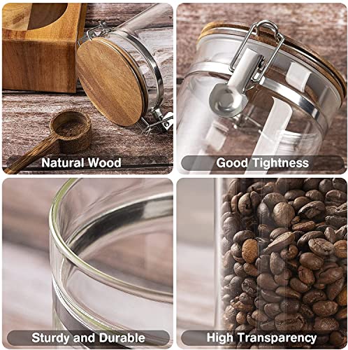 Wood 45oz Glass Coffee Canister Set with Spoon & Leakproof Lids - Yangbaga