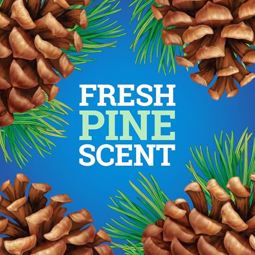 Pine-Sol CloroxPro Multi-Surface Cleaner - Original Pine - 80 Fl Oz Pack of 3