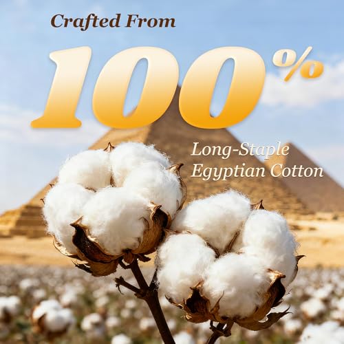 Egyptian Cotton Queen Bed Sheet Set - 1000 TC Deep Pocket 16" - White