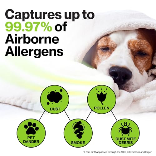Durabasics Filter Compatible with Coway Airmega AP-1512HH 2-Year