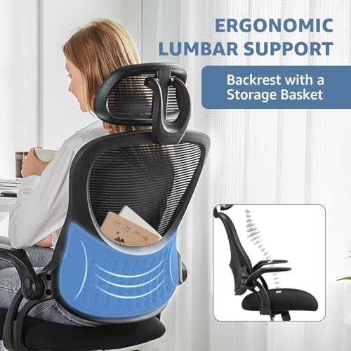 DUMOS Black Ergonomic Office Chair with Lumbar Support & Flip-up Armrests