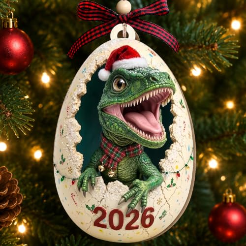 TEEBIM 04 Dinosaur Ornament 2026 – Dinosaur Christmas Ornament for Boys, Gift Box & Twine