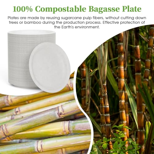 6 Inch Disposable Compostable Paper Dessert Plates - 500 Pack - White - Variation of THIS listing