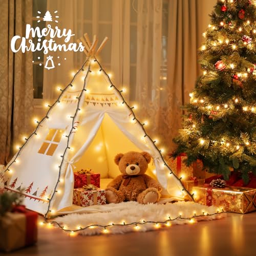 Christmas Lights 50 Count Clear Mini Lights Green Wire UL Certified Connectable Warm White String Lights for Christmas Decor (50 Count 13FT)