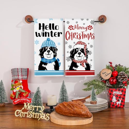 Bernese Mountain Dog Kitchen Towels - 11 Pcs 14x21 Inch Holiday & Gift Set