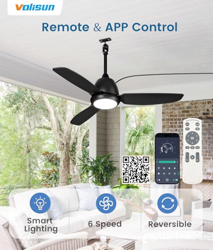 Black Outdoor Ceiling Fan with Light 42in Weatherproof Remote & App Control
