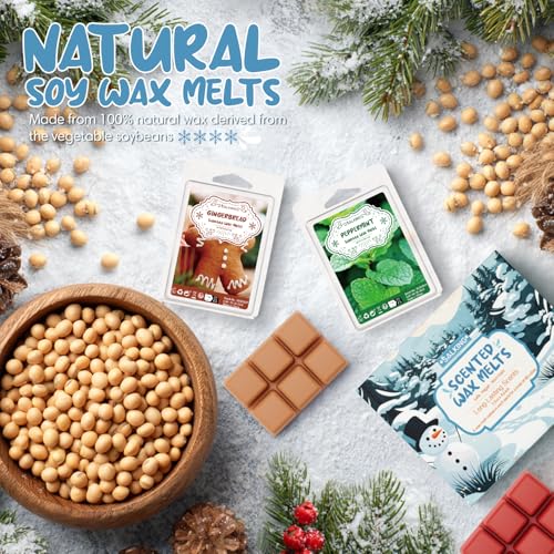 SALKING Winter Scented Wax Melts - 48-Piece Soy Wax Cubes for Wax Warmer Gift Set