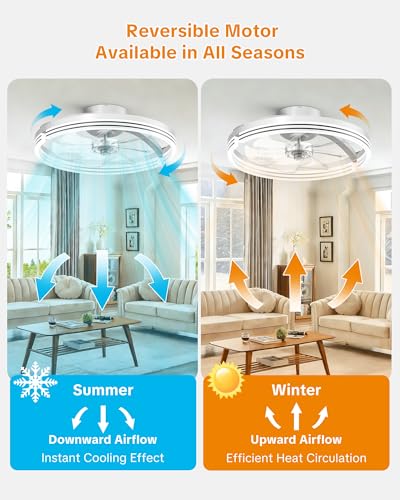 20-Inch Ceiling Fan with Lights Remote Control & App, Low Profile Fandelier