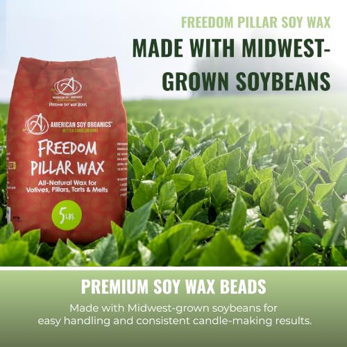 10 lbs Soy Wax Beads for Candle Making - Natural Paraffin-Free Candle Wax