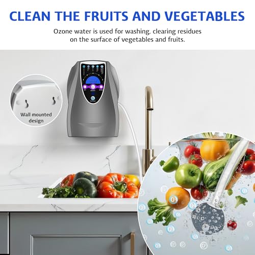 VTAR Ozone Machine - 1000mg/h Multipurpose Air and Water Purifier - Dark Gray