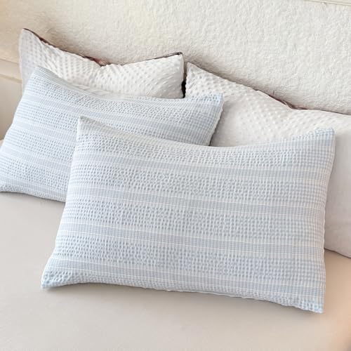 tohrisa Queen Size Boho Comforter Set Sky Blue 3 Pieces All-Season Bedding