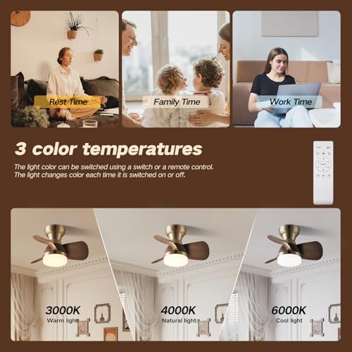 20 Inch Brass Ceiling Fan with Remote, 3 ABS Blades, LED Light for Bedroom & Living Room