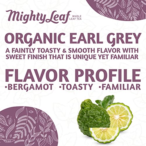 Mighty Leaf Organic Earl Grey Tea - 100 Whole Leaf Caffeinated Tea Bags
