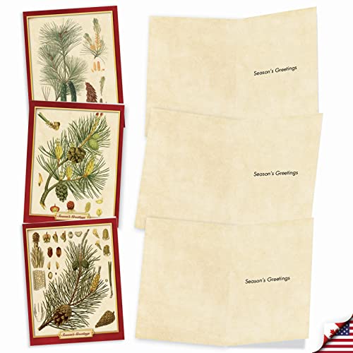 Best Card Co 10 Merry Christmas Boxed Cards Pinecone Pining for Christmas