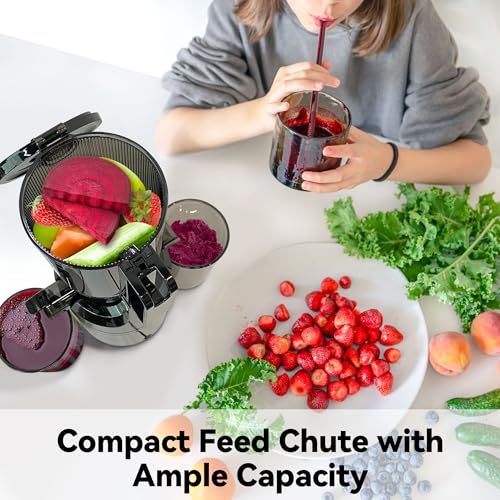 Fretta Black Cold Press Juicer Machine 1L with Wide Feed Chute – Easy to Clean