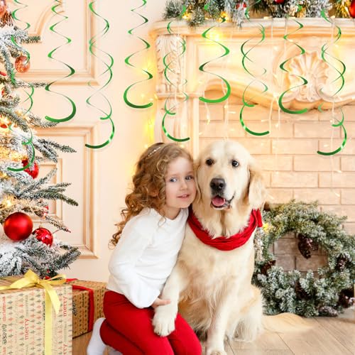 24 PCS Green Hanging Swirl, Sparkle Ceiling Hanging Decorations, Plastic Streamer Party Decorations with Double-Swirls and Single-Swirls for Birthday Decorations, Christmas£¬Graduation, Baby Shower