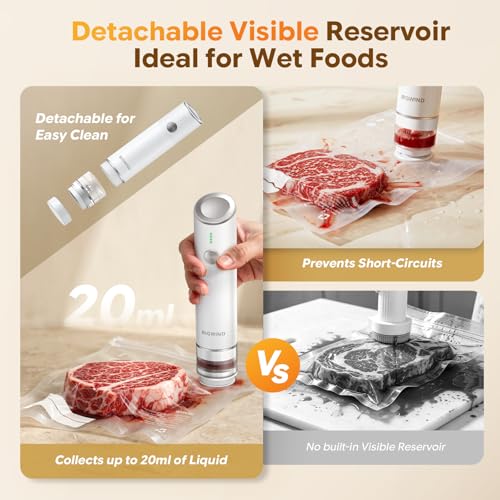 Bigwind Handheld Vacuum Sealer Kit with 45 Reusable Bags - Compact Food Saver