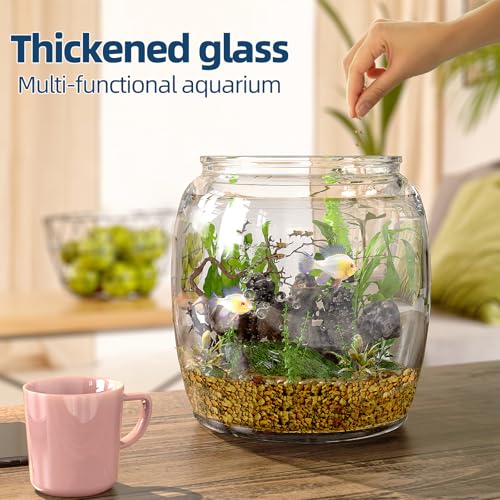 Large 2.5 Gallon Glass Storage Jar with Wide Mouth and Lid - Food & Kitchen
