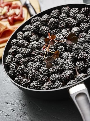 Classic 8-Inch Nonstick Fry Pan - Black, Oven Safe, PFOA-Free