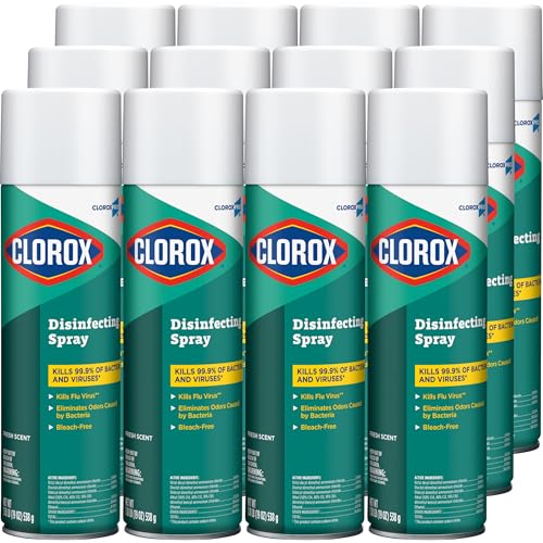 Disinfecting Spray with Fresh Scent - 19 Ounce, Pack of 12 - EPA Registered