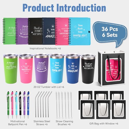 6-Pack 20 Oz Insulated Steel Tumblers with Straws & Gift Bags - Employee Appreciation Gifts