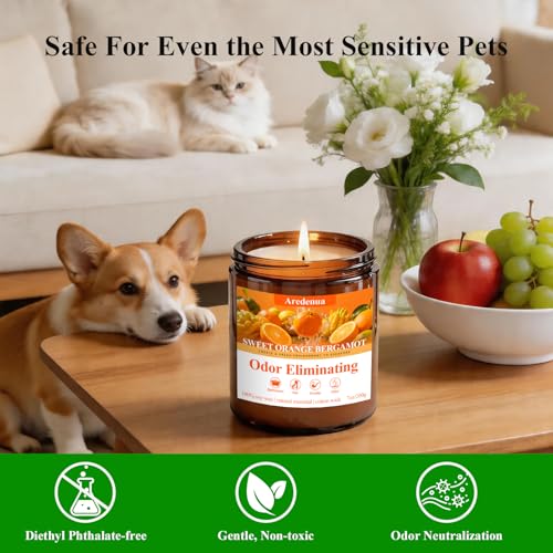 4-Pack Soy Scented Candles Set - Odor Elimination & Home Fragrance - Brown Variation