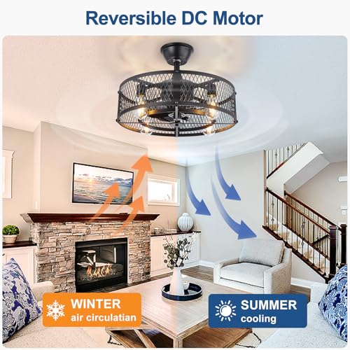 20-Inch Farmhouse Caged Ceiling Fan with Light and Remote Control - Black Rustic Style