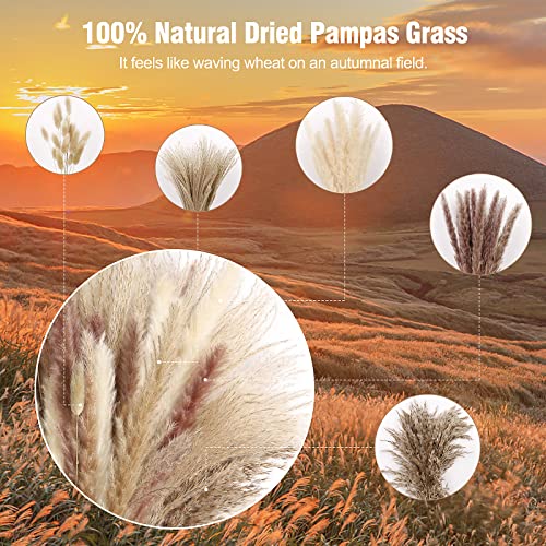 N&T NETING 75Pcs Pampas Grass Decor-10Pcs White Pampas Grass, 20Pcs Brown Pampas, 10Pcs Bunny Tail, 30Pcs Reed, 5Pcs Fluffy Dried Pompas Grass Flower for Fall Home Wedding Table Vase Boho Decor