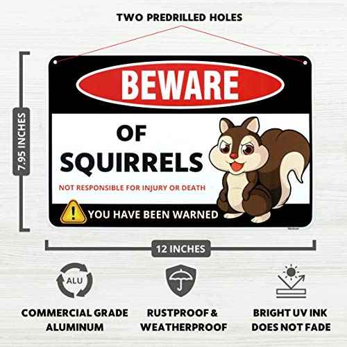 Venicor Squirrel Decor Sign - 8 x 12 Inches - Aluminum - Funny Squirrel Gifts for Squirrel Lovers - Squirrel Stickers Call Stuffed Plush