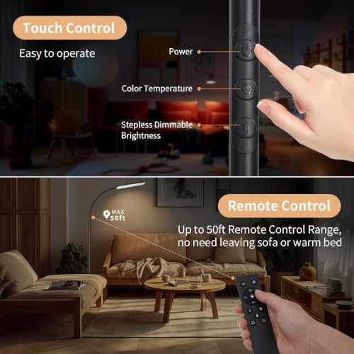 FRIDEKO HOME 2 Pack Black LED Floor Lamps with Dimming & Remote Control