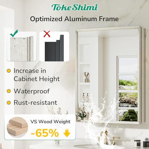 Bathroom Medicine Cabinet 14x18 with Mirror, Beveled Aluminum Frame, Adjustable Shelves - Brushed Nickel - Variation of Brushed Nickel / 14x18 in