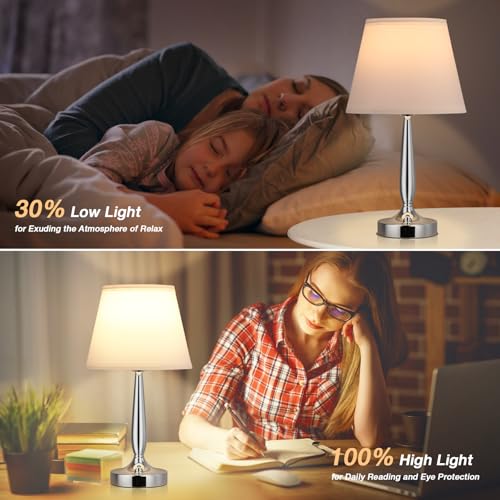 Kakanuo Silver Touch Bedside Table Lamp with USB & 3-Way Dimmable Light - White & Silver