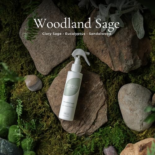 Non Toxic Fabric & Room Air Freshener Spray - Woodland Sage & Pacific Driftwood 2-Pack