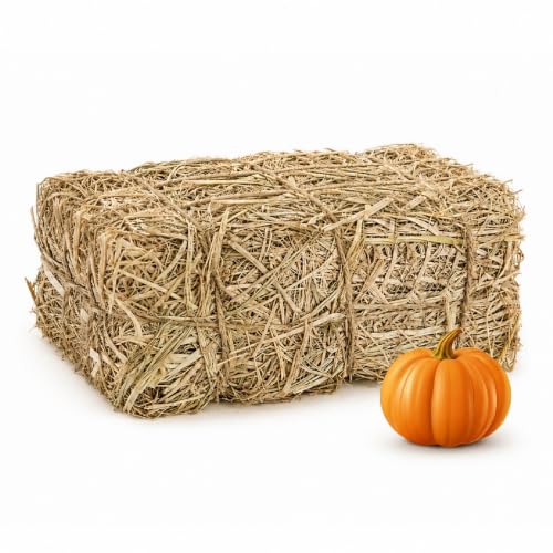 PJT Medium Natural Straw Hay Bale 16x8x6 in Fall Halloween Decor, Authentic Harvest Look
