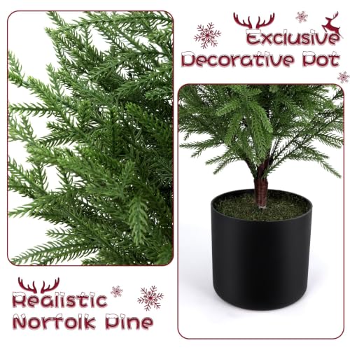 2FT ENVEN Norfolk Pine Christmas Tree - Prelit 30 LEDs, 8-Mode Battery Box, 1 Pack (2ft-1 Pack)