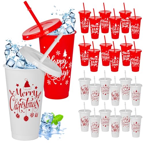 Cinrobiye Red 24 oz Christmas Plastic Cups with Lids & Straws - Holiday Party Supplies