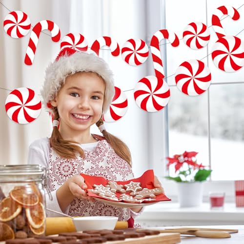 Whaline 4Pcs Christmas Paper Banner Red White Stripe Candy Cane Banner Xmas Bunting Garland for Christmas Party Supplies Home Hanging Decoration