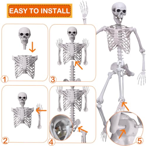 5.4Ft Halloween Skeleton with Movable Joints Life Size Human Bones Indoor Outdoor Decor