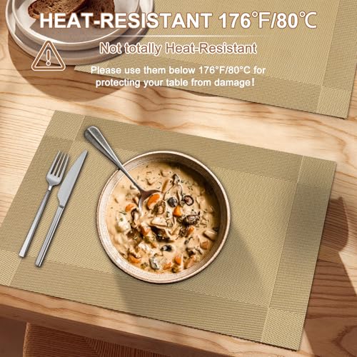 BETEAM Placemats Set of 12, Woven Vinyl Place Mats for Dining Table,